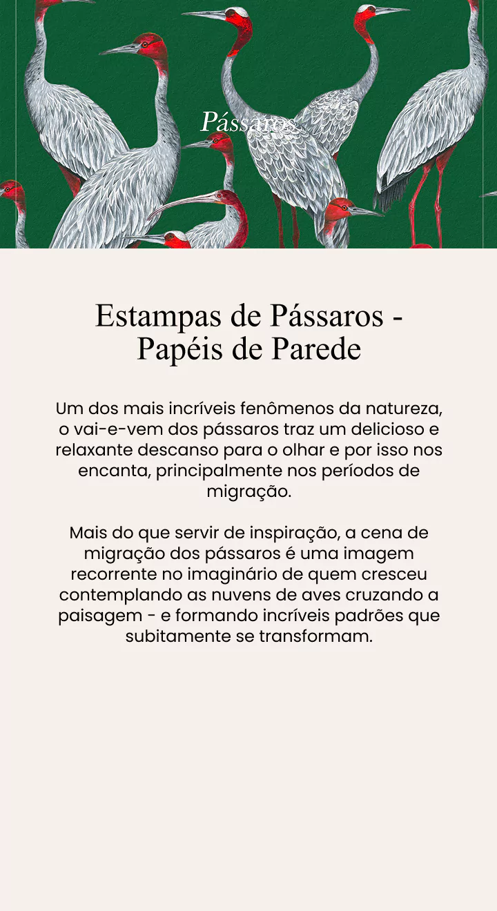 passaros-6893977ce5f0b